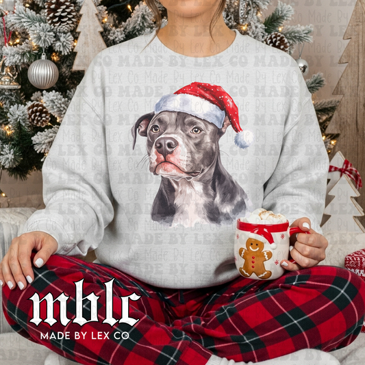 Santa Dog Shirt - (60+ breeds)