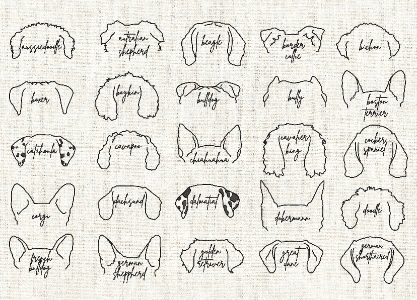 CUSTOM Dog/Cat Ears + Name Embroidered Shirt