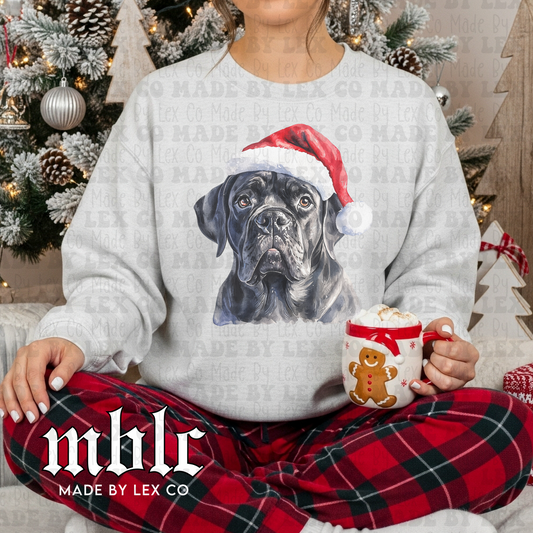 Santa Dog Shirt - (60+ breeds)